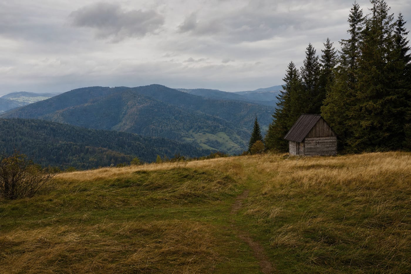 Górska polana na zalesionym grzbiecie Beskidu Śląskiego z drewnianą chatą pasterską