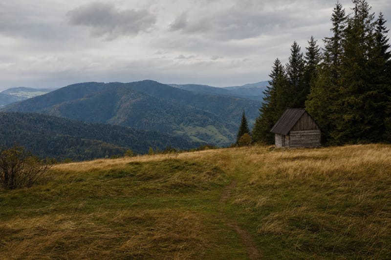 Polana na zalesionym grzbiecie Beskidu Śląskiego z drewnianą chatą pasterską
