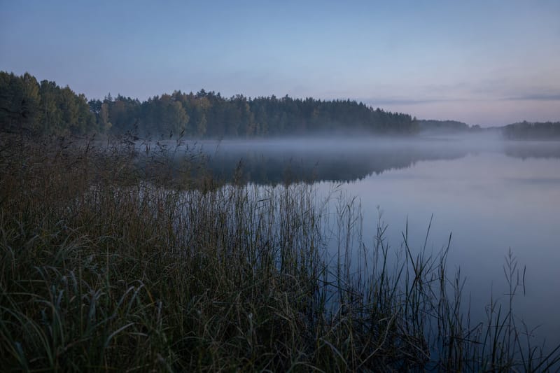 Spokojne mazurskie jezioro o wschodzie słońca z trzcinami na brzegu