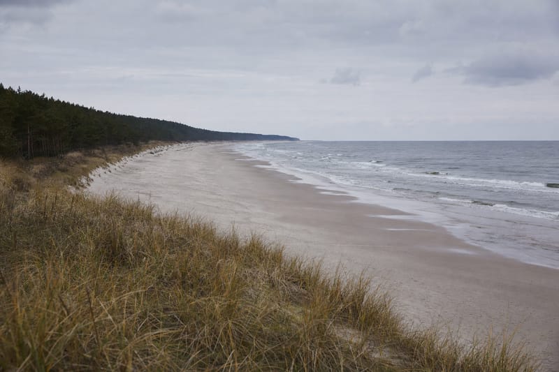 Pusta plaża nad Bałtykiem widziana ze szczytu niskiej wydmy